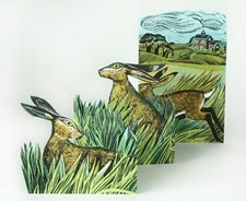 Hares and Open Field