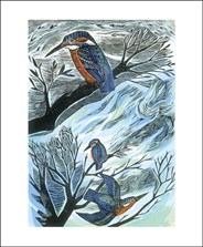 Suffolk Kingfishers