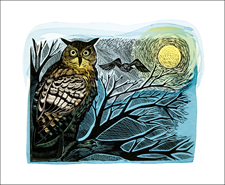 Owl and Moon