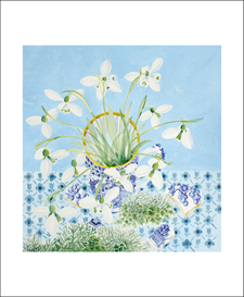 Snowdrops and Lichen Blue