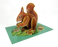 Pop-Out Red Squirrel