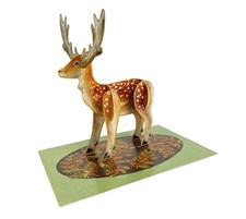 Pop-Out Fallow Deer