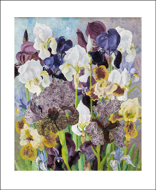 May Flowering  Irises, 1935