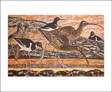 Curlew and Oystercatchers