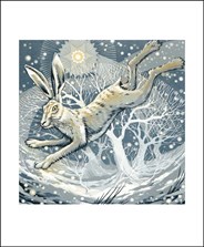 Frosty Hare