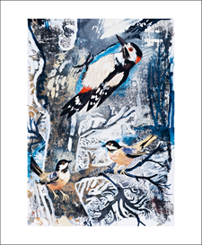 Winter Woodpecker