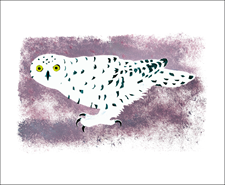 Arctic Visitor