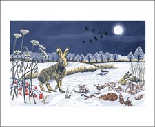 Winter Hares