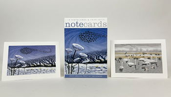 Snow Starlings & Seven Swans