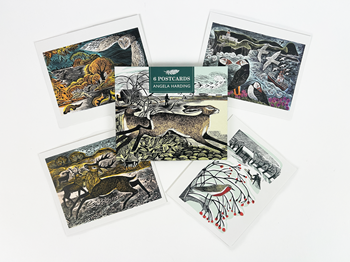 Angela Harding postcard wallet