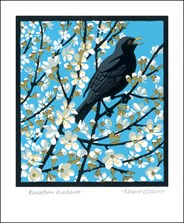 Blackthorn Blackbird