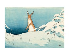 Snow and Hare